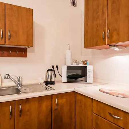 公寓 Apartament Krakowska Wawelofts